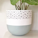 Small Polka Dot Plant Pot in Grey and Seafoam