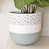 Small Polka Dot Plant Pot in Grey and Seafoam