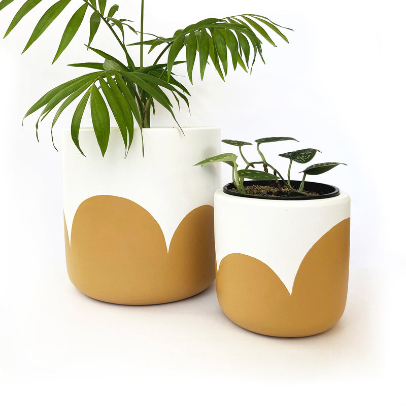Boldly Bloom Mustard Clay Plant Pot