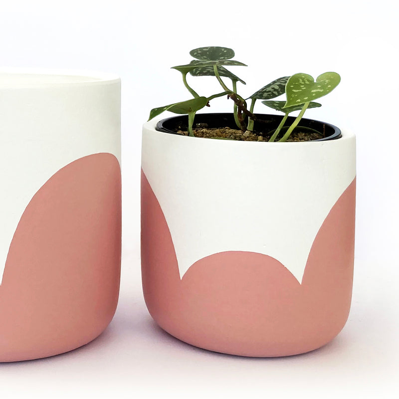 Small Pink Clay Plant Pots