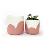 Boldly Bloom Pink Clay Plant Pot