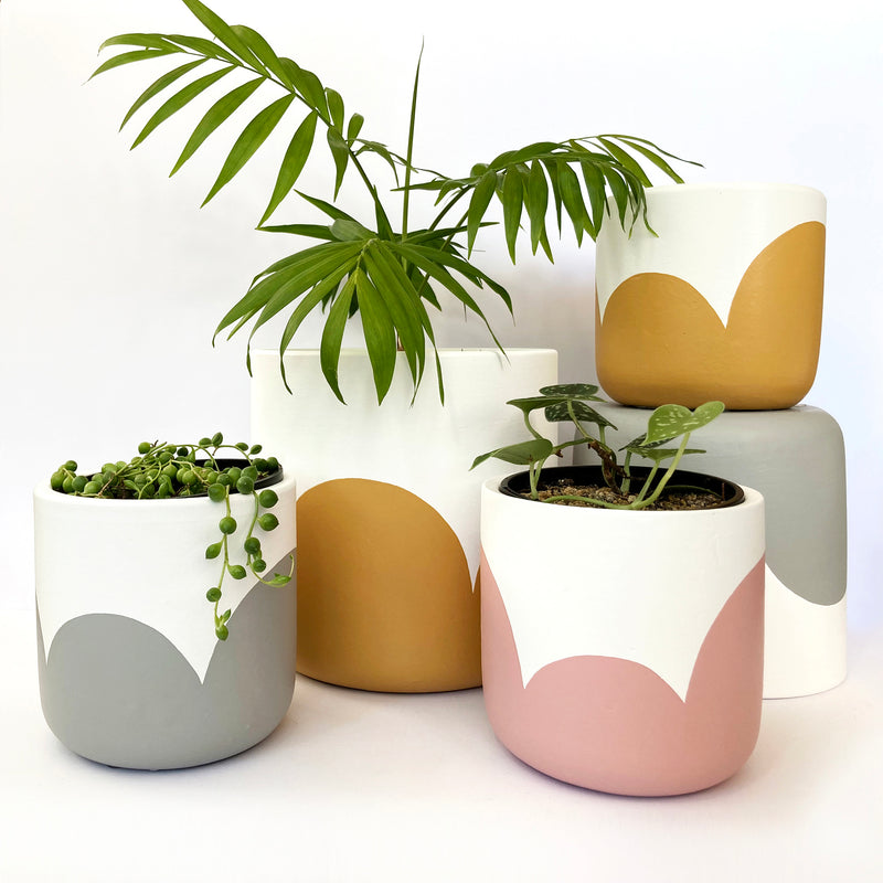 Boldly Bloom Clay Plant Pots