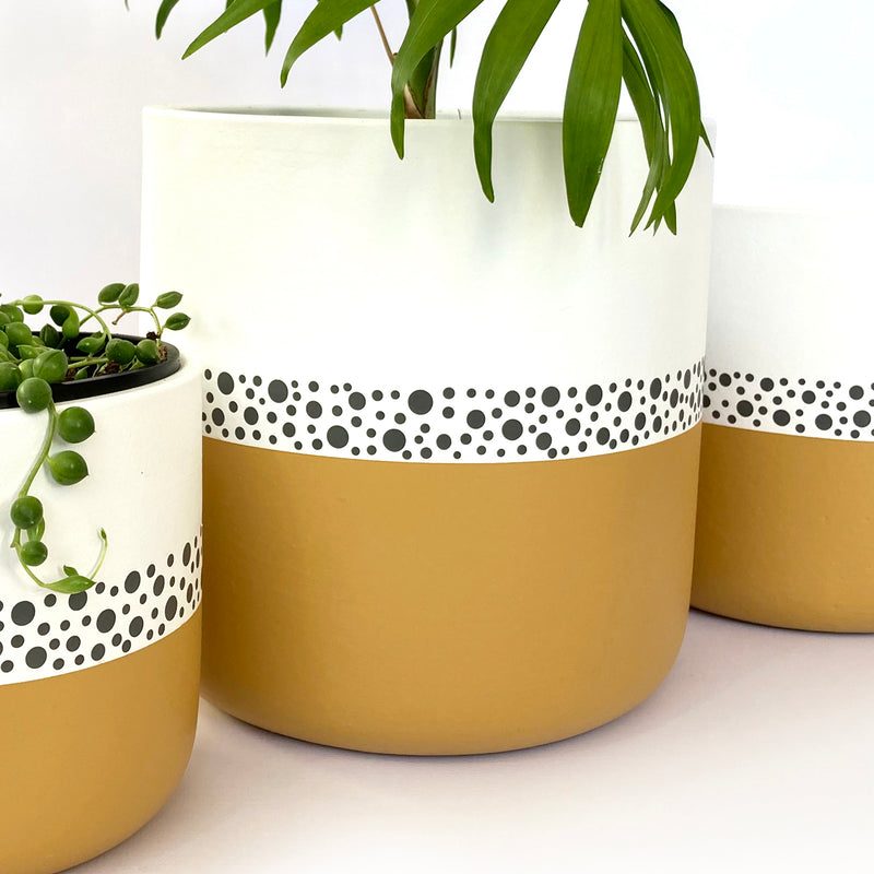 Small Dotted Plant Pot