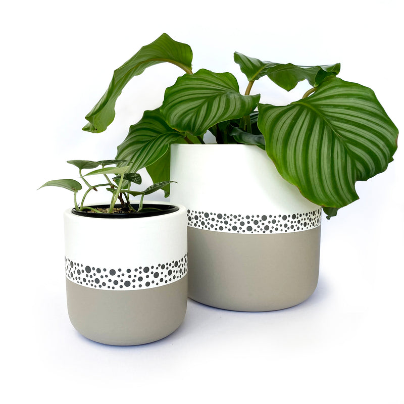 Delicious Dotti Oatmeal & Charcoal Clay Plant Pot