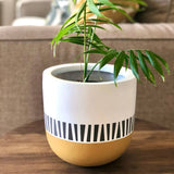 Custom Painted Pick Up Sticks Lightweight Plant Pot