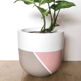 Custom Painted Split Difference Lightweight Plant Pot