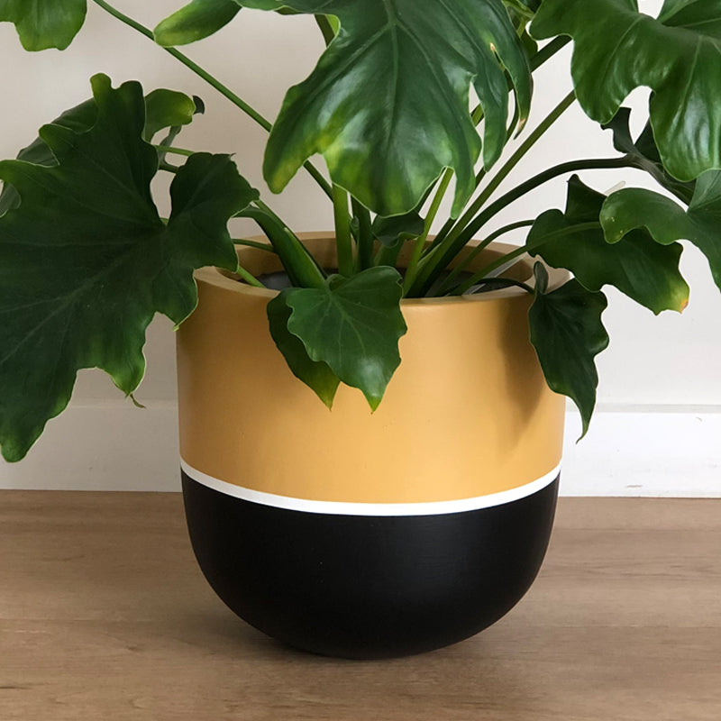 Small Halvies Plant Pot in Dijon and Black